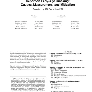 ACI 231R-10 pdf