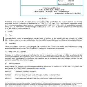 SAE AMS6317L pdf