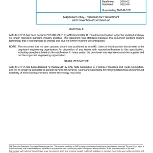 SAE AMSM3171A pdf