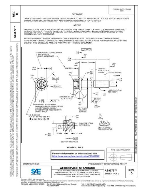 SAE AS9579D pdf