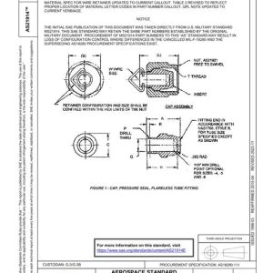 SAE AS21914E pdf