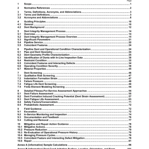 API RP 1183 pdf