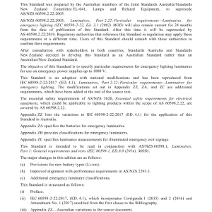 AS 60598.2.22:2019 pdf