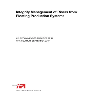 API RP 2RIM pdf