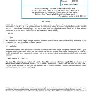 SAE AMS5843H pdf