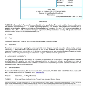 SAE AMS6528E pdf