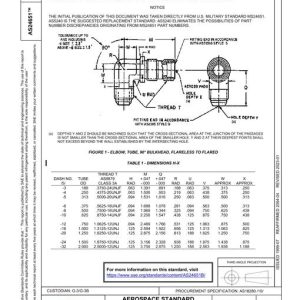 SAE AS24651B pdf