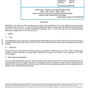 SAE AMS5876F pdf