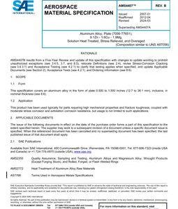 SAE AMS4407B pdf