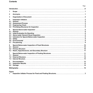 API Bull 2HINS:2009 pdf