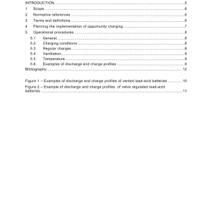 BS PD IEC TS 61044:2021 pdf