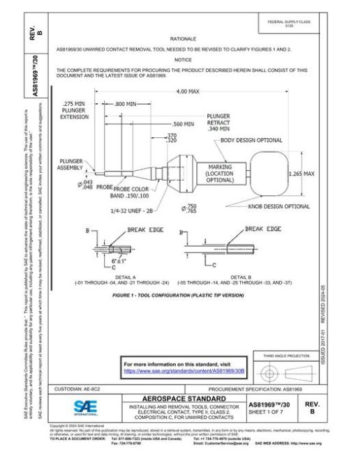 SAE AS81969/30B pdf