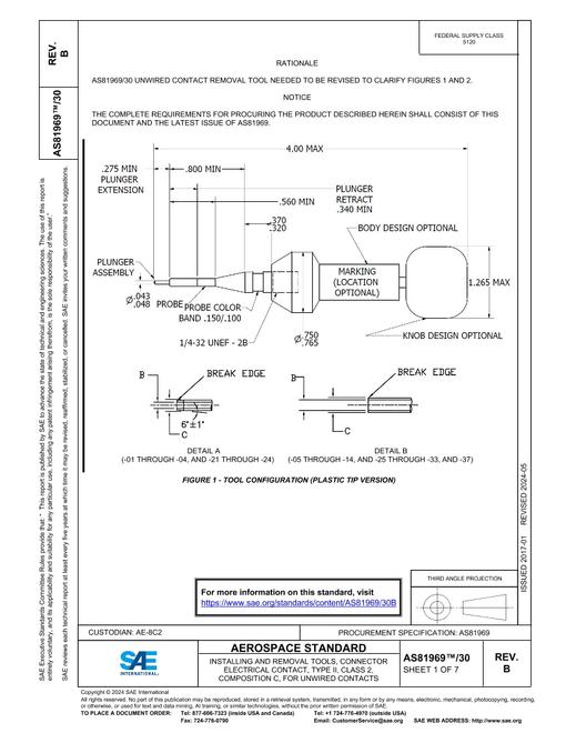 SAE AS81969/30B pdf