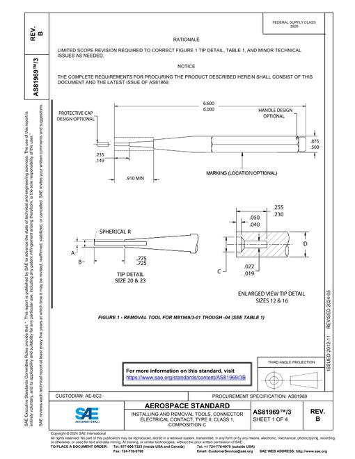 SAE AS81969/3B pdf