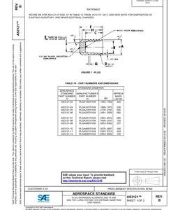 SAE AS3121B pdf